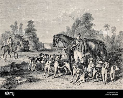 hunting dog history.